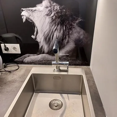 Baldauf - Dorf 31 Apartment *