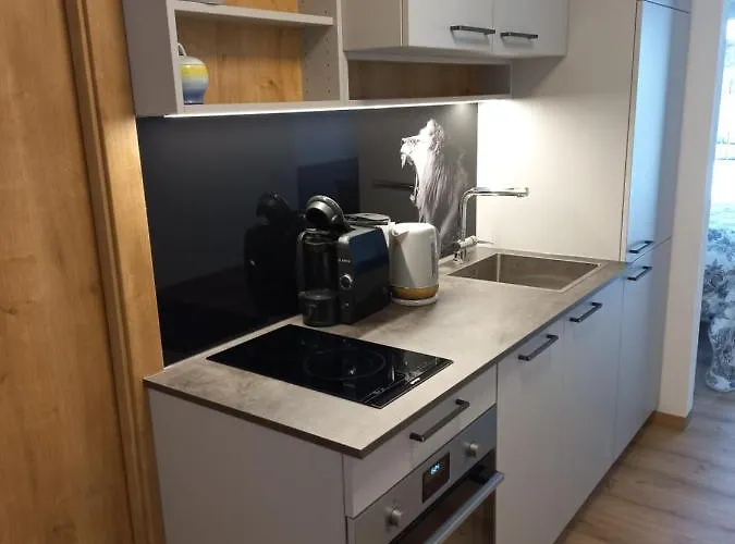 Baldauf - Dorf 31 Apartmán